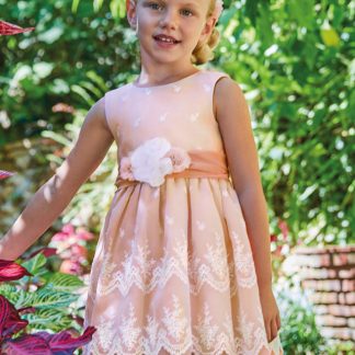 Vestido organza bordado